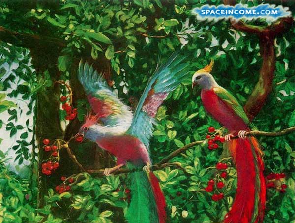 Душа и Сверхдуша - 2 птицы на одном дереве